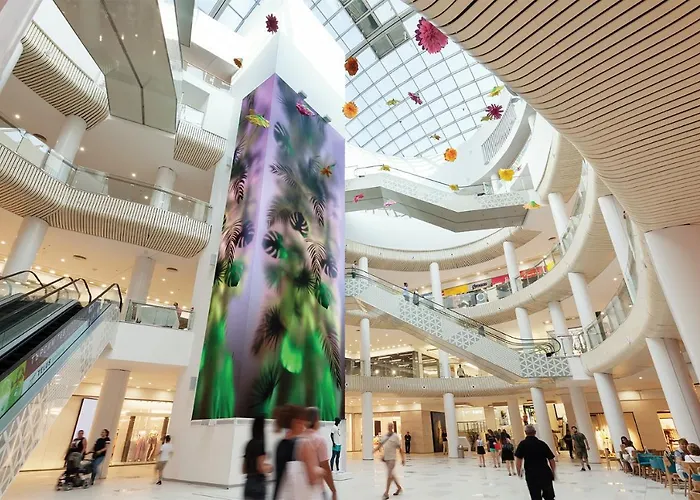 Roxy 플로브디프