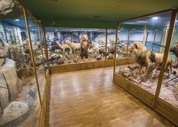 Roxy 플로브디프