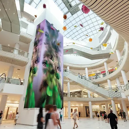 Roxy 普罗夫迪夫