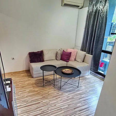 Roxy * 普罗夫迪夫